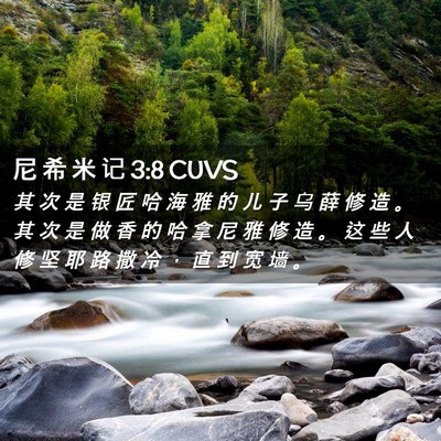 Picture 02 - 尼 希 米 记 3:8 CUVS - 其 次 是 银 匠 哈 海 雅 的 儿 子 乌 - Bible Verse Picture