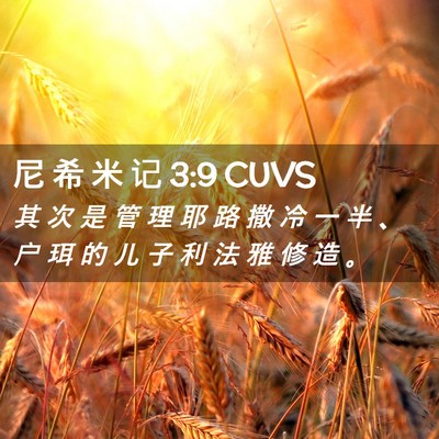Picture 02 - 尼 希 米 记 3:9 CUVS - 其 次 是 管 理 耶 路 撒 冷 一 半 、 - Bible Verse Picture
