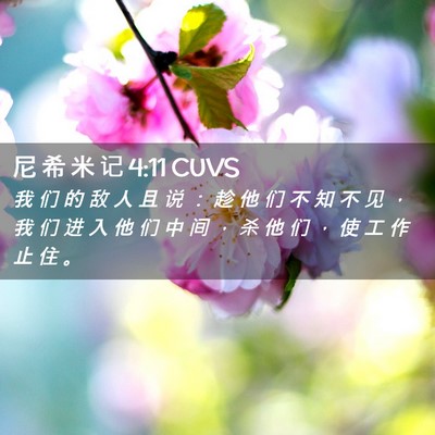 Picture 02 - 尼 希 米 记 4:11 CUVS - 我 们 的 敌 人 且 说 ： 趁 他 们 不 - Bible Verse Picture