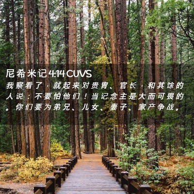 Picture 02 - 尼 希 米 记 4:14 CUVS - 我 察 看 了 ， 就 起 来 对 贵 胄 、 - Bible Verse Picture