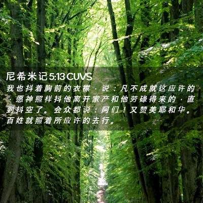Picture 02 - 尼 希 米 记 5:13 CUVS - 我 也 抖 着 胸 前 的 衣 襟 ， 说 ： - Bible Verse Picture