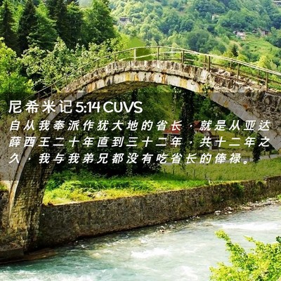 Picture 02 - 尼 希 米 记 5:14 CUVS - 自 从 我 奉 派 作 犹 大 地 的 省 长 - Bible Verse Picture