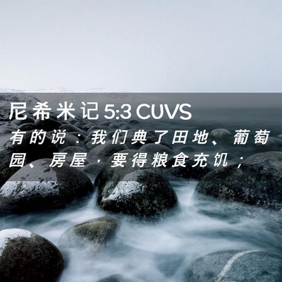 Picture 02 - 尼 希 米 记 5:3 CUVS - 有 的 说 ： 我 们 典 了 田 地 、 葡 - Bible Verse Picture