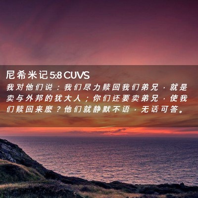 Picture 02 - 尼 希 米 记 5:8 CUVS - 我 对 他 们 说 ： 我 们 尽 力 赎 回 - Bible Verse Picture