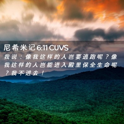 Picture 02 - 尼 希 米 记 6:11 CUVS - 我 说 ： 像 我 这 样 的 人 岂 要 逃 - Bible Verse Picture