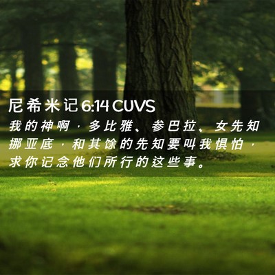 Picture 02 - 尼 希 米 记 6:14 CUVS - 我 的 神 啊 ， 多 比 雅 、 参 巴 拉 - Bible Verse Picture