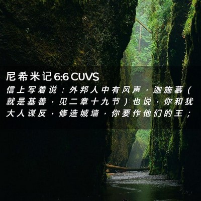 Picture 02 - 尼 希 米 记 6:6 CUVS - 信 上 写 着 说 ： 外 邦 人 中 有 风 - Bible Verse Picture