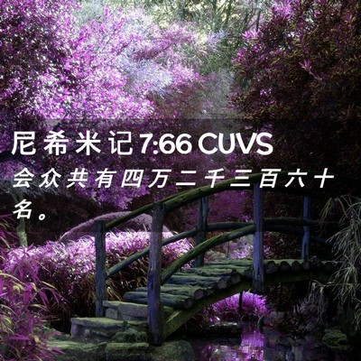 Picture 02 - 尼 希 米 记 7:66 CUVS - 会 众 共 有 四 万 二 千 三 百 六 十 - Bible Verse Picture
