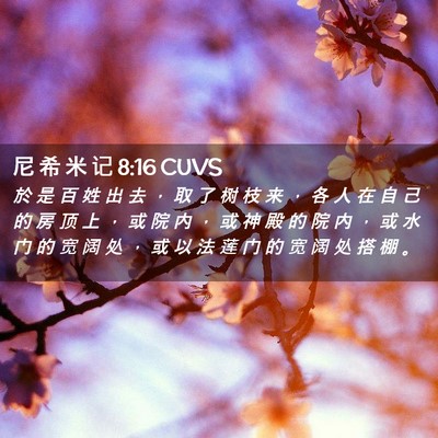Picture 02 - 尼 希 米 记 8:16 CUVS - 於 是 百 姓 出 去 ， 取 了 树 枝 来 - Bible Verse Picture