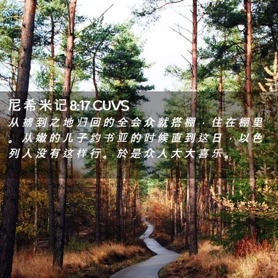 Picture 02 - 尼 希 米 记 8:17 CUVS - 从 掳 到 之 地 归 回 的 全 会 众 就 - Bible Verse Picture