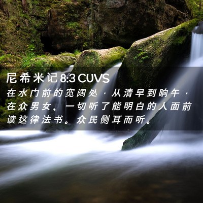 Picture 02 - 尼 希 米 记 8:3 CUVS - 在 水 门 前 的 宽 阔 处 ， 从 清 早 - Bible Verse Picture