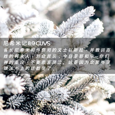 Picture 02 - 尼 希 米 记 8:9 CUVS - 省 长 尼 希 米 和 作 祭 司 的 文 士 - Bible Verse Picture