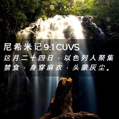 Picture 02 - 尼 希 米 记 9:1 CUVS - 这 月 二 十 四 日 ， 以 色 列 人 聚 - Bible Verse Picture