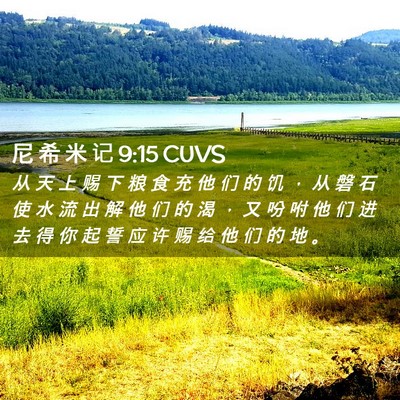 Picture 02 - 尼 希 米 记 9:15 CUVS - 从 天 上 赐 下 粮 食 充 他 们 的 饥 - Bible Verse Picture