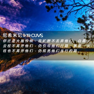 Picture 02 - 尼 希 米 记 9:19 CUVS - 你 还 是 大 施 怜 悯 ， 在 旷 野 不 - Bible Verse Picture