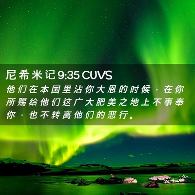 Picture 02 - 尼 希 米 记 9:35 CUVS - 他 们 在 本 国 里 沾 你 大 恩 的 时 - Bible Verse Picture