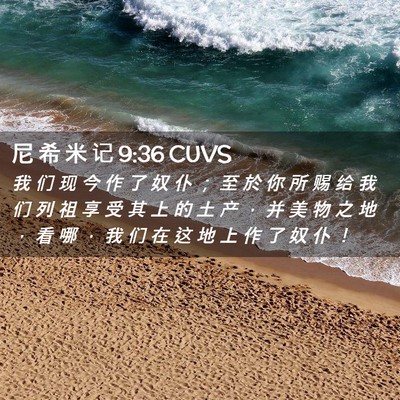 Picture 02 - 尼 希 米 记 9:36 CUVS - 我 们 现 今 作 了 奴 仆 ； 至 於 你 - Bible Verse Picture