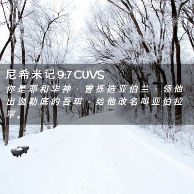 Picture 02 - 尼 希 米 记 9:7 CUVS - 你 是 耶 和 华 神 ， 曾 拣 选 亚 伯 - Bible Verse Picture