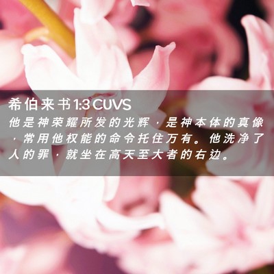 Picture 02 - 希 伯 来 书 1:3 CUVS - 他 是 神 荣 耀 所 发 的 光 辉 ， 是 - Bible Verse Picture
