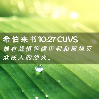 Picture 02 - 希 伯 来 书 10:27 CUVS - 惟 有 战 惧 等 候 审 判 和 那 烧 灭 - Bible Verse Picture