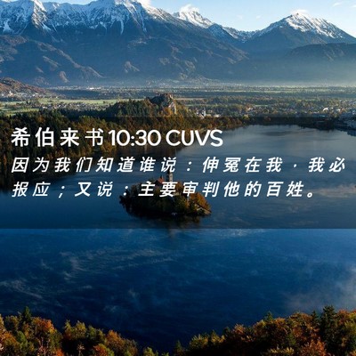 Picture 02 - 希 伯 来 书 10:30 CUVS - 因 为 我 们 知 道 谁 说 ： 伸 冤 在 - Bible Verse Picture