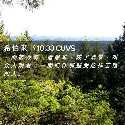 Picture 02 - 希 伯 来 书 10:33 CUVS - 一 面 被 毁 谤 ， 遭 患 难 ， 成 了 - Bible Verse Picture