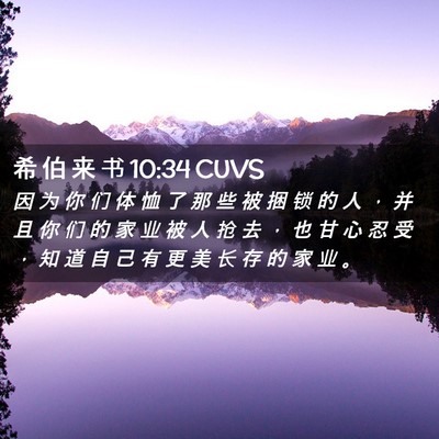 Picture 02 - 希 伯 来 书 10:34 CUVS - 因 为 你 们 体 恤 了 那 些 被 捆 锁 - Bible Verse Picture