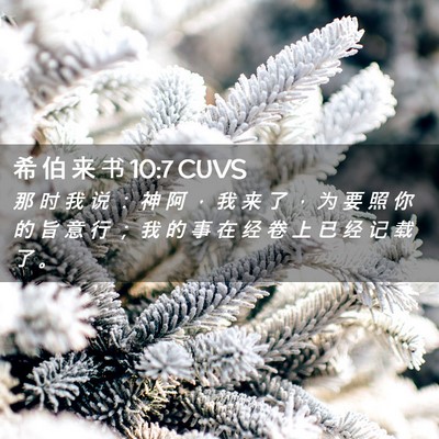 Picture 02 - 希 伯 来 书 10:7 CUVS - 那 时 我 说 ： 神 阿 ， 我 来 了 ， - Bible Verse Picture
