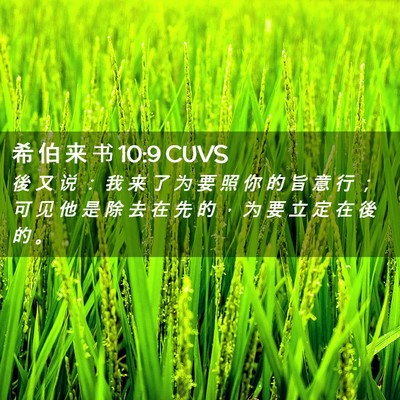 Picture 02 - 希 伯 来 书 10:9 CUVS - 後 又 说 ： 我 来 了 为 要 照 你 的 - Bible Verse Picture
