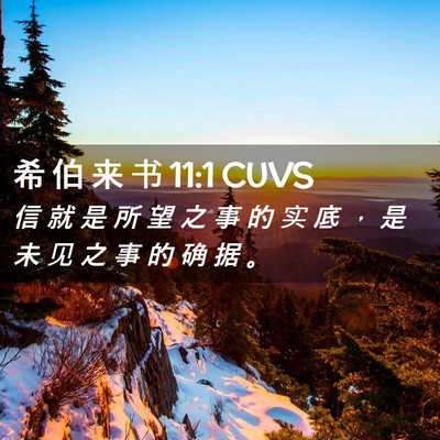 Picture 02 - 希 伯 来 书 11:1 CUVS - 信 就 是 所 望 之 事 的 实 底 ， 是 - Bible Verse Picture