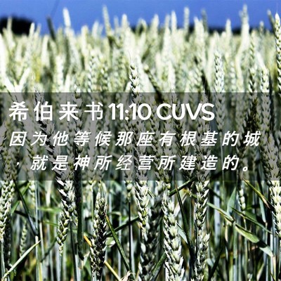 Picture 02 - 希 伯 来 书 11:10 CUVS - 因 为 他 等 候 那 座 有 根 基 的 城 - Bible Verse Picture