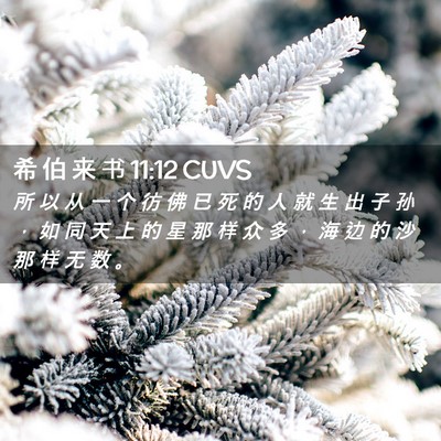 Picture 02 - 希 伯 来 书 11:12 CUVS - 所 以 从 一 个 彷 佛 已 死 的 人 就 - Bible Verse Picture