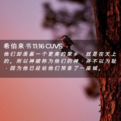 Picture 02 - 希 伯 来 书 11:16 CUVS - 他 们 却 羡 慕 一 个 更 美 的 家 乡 - Bible Verse Picture