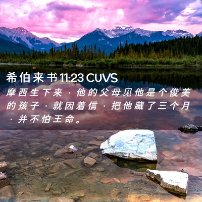 Picture 02 - 希 伯 来 书 11:23 CUVS - 摩 西 生 下 来 ， 他 的 父 母 见 他 - Bible Verse Picture