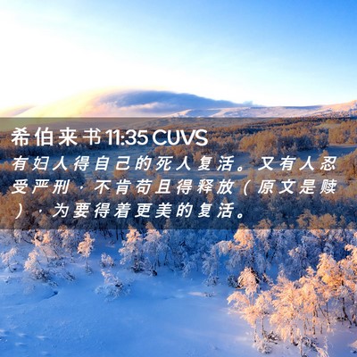 Picture 02 - 希 伯 来 书 11:35 CUVS - 有 妇 人 得 自 己 的 死 人 复 活 。 - Bible Verse Picture