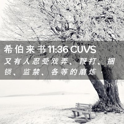 Picture 02 - 希 伯 来 书 11:36 CUVS - 又 有 人 忍 受 戏 弄 、 鞭 打 、 捆 - Bible Verse Picture