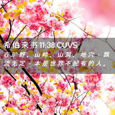 Picture 02 - 希 伯 来 书 11:38 CUVS - 在 旷 野 、 山 岭 、 山 洞 、 地 穴 - Bible Verse Picture