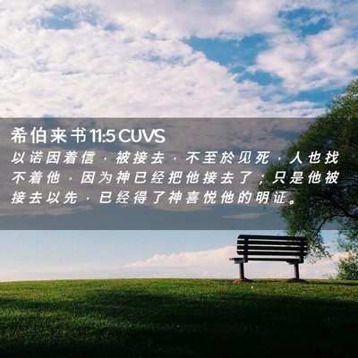 Picture 02 - 希 伯 来 书 11:5 CUVS - 以 诺 因 着 信 ， 被 接 去 ， 不 至 - Bible Verse Picture