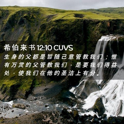 Picture 02 - 希 伯 来 书 12:10 CUVS - 生 身 的 父 都 是 暂 随 己 意 管 教 - Bible Verse Picture