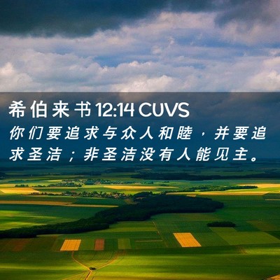 Picture 02 - 希 伯 来 书 12:14 CUVS - 你 们 要 追 求 与 众 人 和 睦 ， 并 - Bible Verse Picture