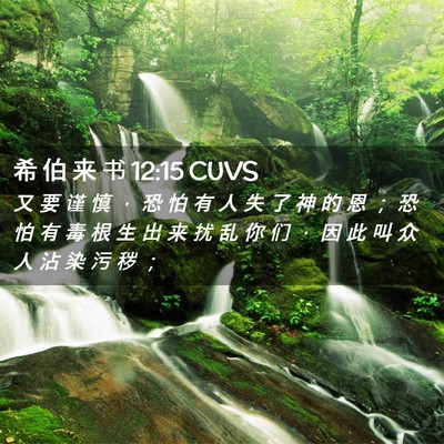 Picture 02 - 希 伯 来 书 12:15 CUVS - 又 要 谨 慎 ， 恐 怕 有 人 失 了 神 - Bible Verse Picture