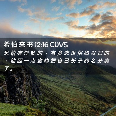 Picture 02 - 希 伯 来 书 12:16 CUVS - 恐 怕 有 淫 乱 的 ， 有 贪 恋 世 俗 - Bible Verse Picture