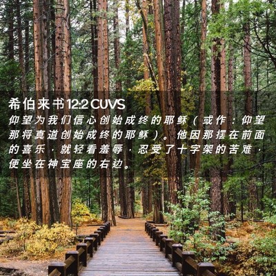 Picture 02 - 希 伯 来 书 12:2 CUVS - 仰 望 为 我 们 信 心 创 始 成 终 的 - Bible Verse Picture