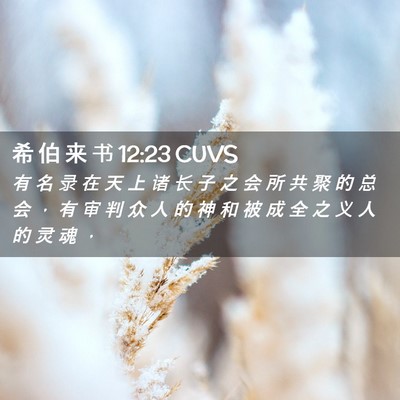 Picture 02 - 希 伯 来 书 12:23 CUVS - 有 名 录 在 天 上 诸 长 子 之 会 所 - Bible Verse Picture