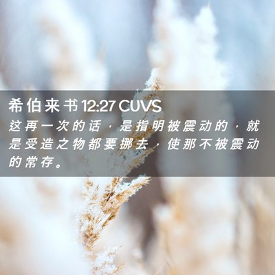 Picture 02 - 希 伯 来 书 12:27 CUVS - 这 再 一 次 的 话 ， 是 指 明 被 震 - Bible Verse Picture