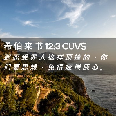 Picture 02 - 希 伯 来 书 12:3 CUVS - 那 忍 受 罪 人 这 样 顶 撞 的 ， 你 - Bible Verse Picture