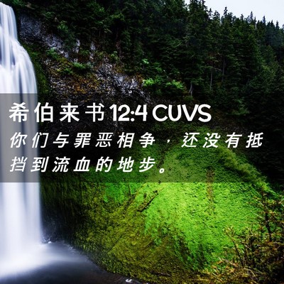 Picture 02 - 希 伯 来 书 12:4 CUVS - 你 们 与 罪 恶 相 争 ， 还 没 有 抵 - Bible Verse Picture