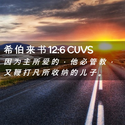 Picture 02 - 希 伯 来 书 12:6 CUVS - 因 为 主 所 爱 的 ， 他 必 管 教 ， - Bible Verse Picture
