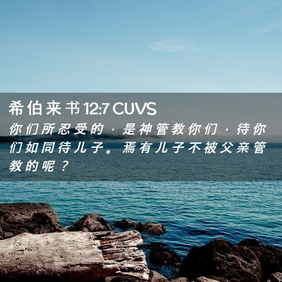 Picture 02 - 希 伯 来 书 12:7 CUVS - 你 们 所 忍 受 的 ， 是 神 管 教 你 - Bible Verse Picture