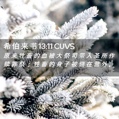 Picture 02 - 希 伯 来 书 13:11 CUVS - 原 来 牲 畜 的 血 被 大 祭 司 带 入 - Bible Verse Picture
